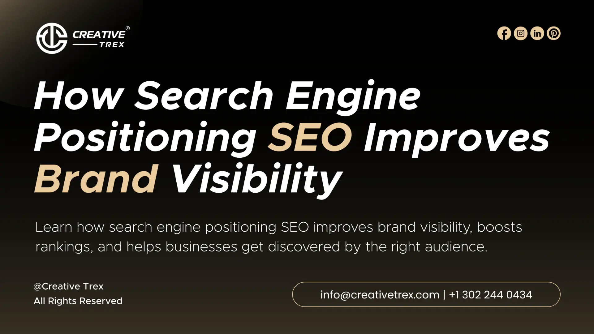 Search Engine Positioning SEO for Brand Visibility