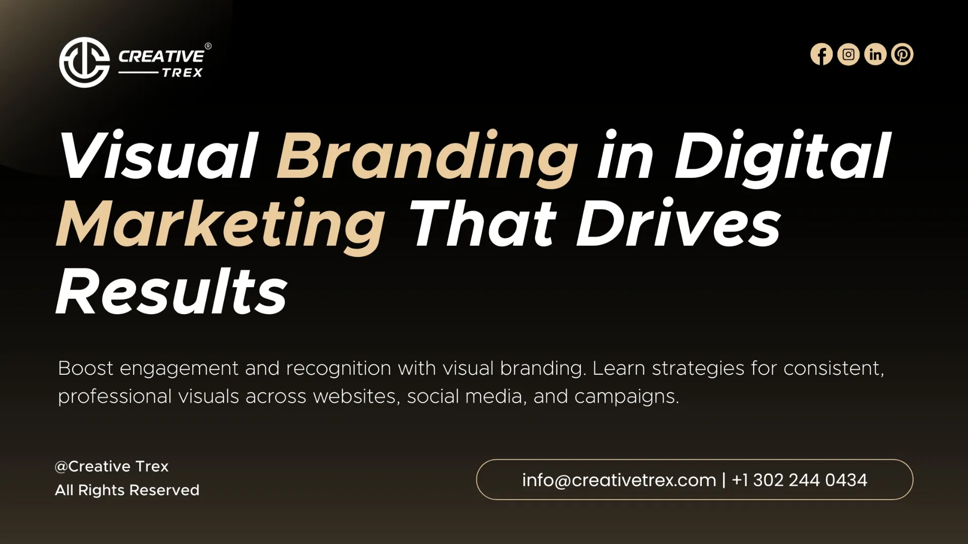 Visual Branding That Drives Digital Marketing Results | Creative trex